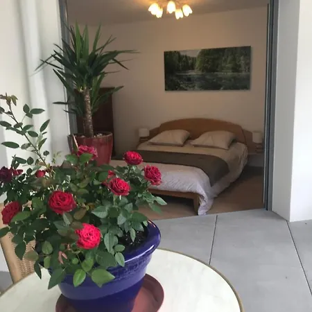 Apartman La Providence *